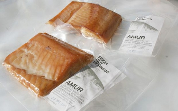 Räucheramur