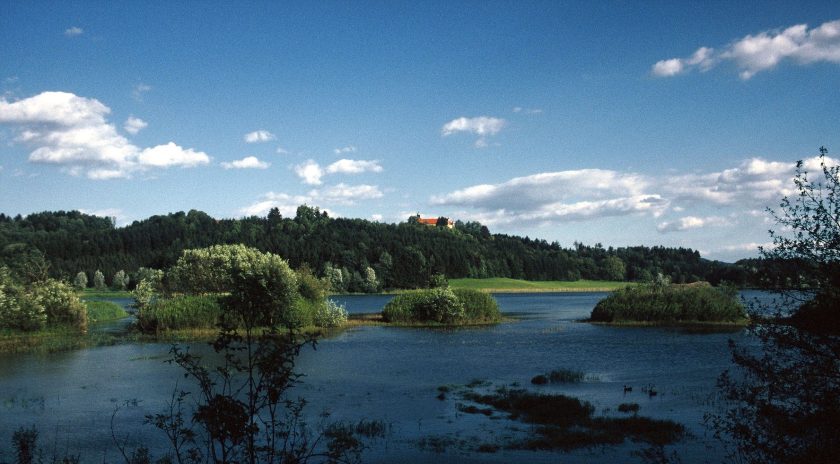 Teichlandschaft mit Enten, Inseln und Schloss, die aussieht wie eine große Seenplatte