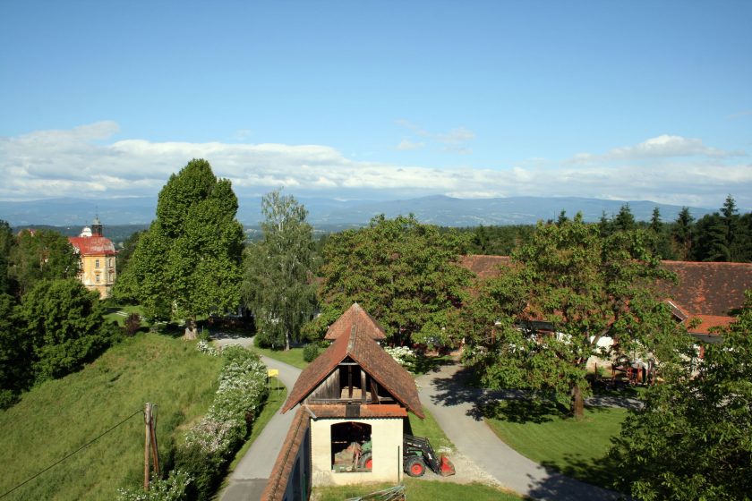 Wohnung im Grünen