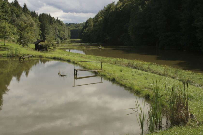 Teichkette Teichbau