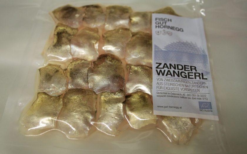Zanderwangerl
