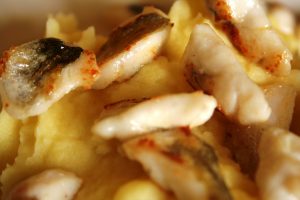 Zanderrezept Biofisch Frischfisch Wien