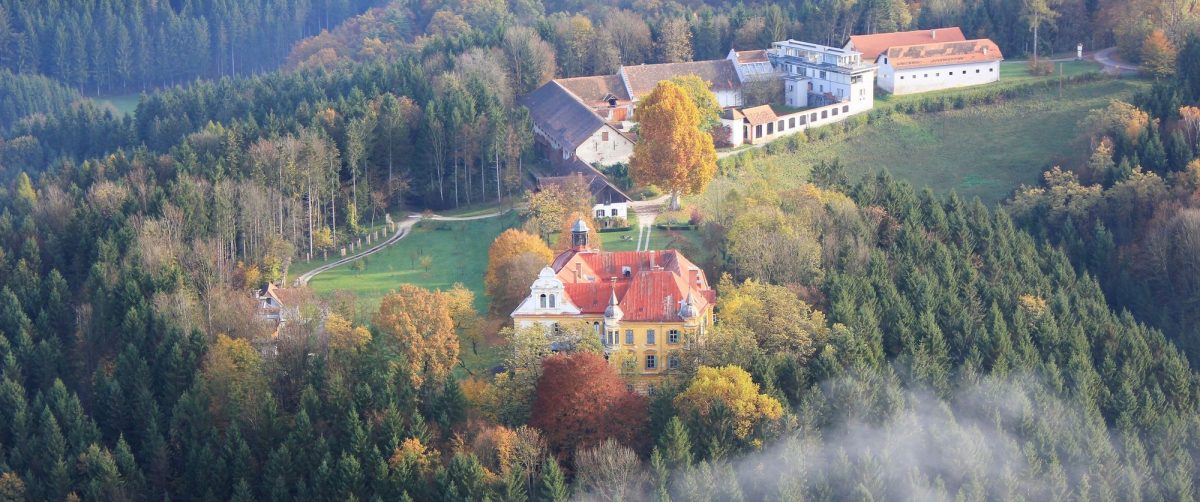 Blick aus der Luft über Gutshof und Schloss